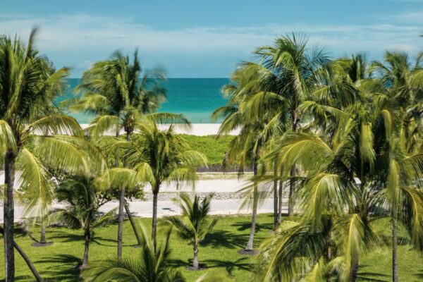 Palm trees and turquoise ocean at a Florida beach